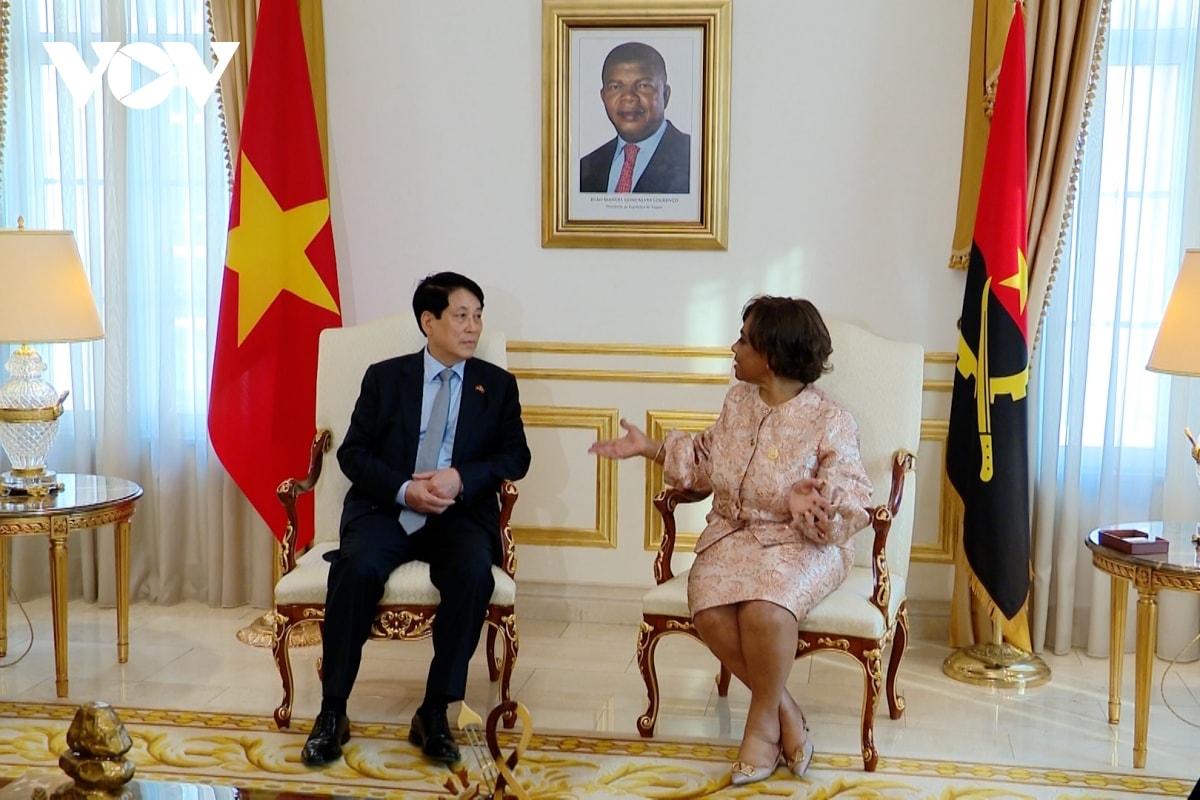 toan canh chuyen tham cap nha nuoc toi ai cap va angola cua chu tich nuoc luong cuong hinh anh 19