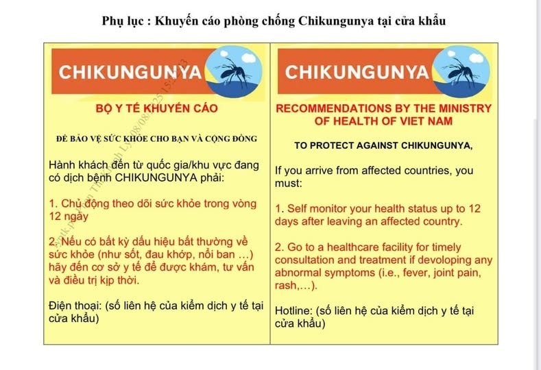 bộ y tế phát cảnh báo khẩn sau khi bệnh chikungunya bùng phát mạnh ở trung quốc hình ảnh 2 bo y te phat canh bao khan sau khi benh chikungunya bung phat manh o trung quoc hinh anh 2