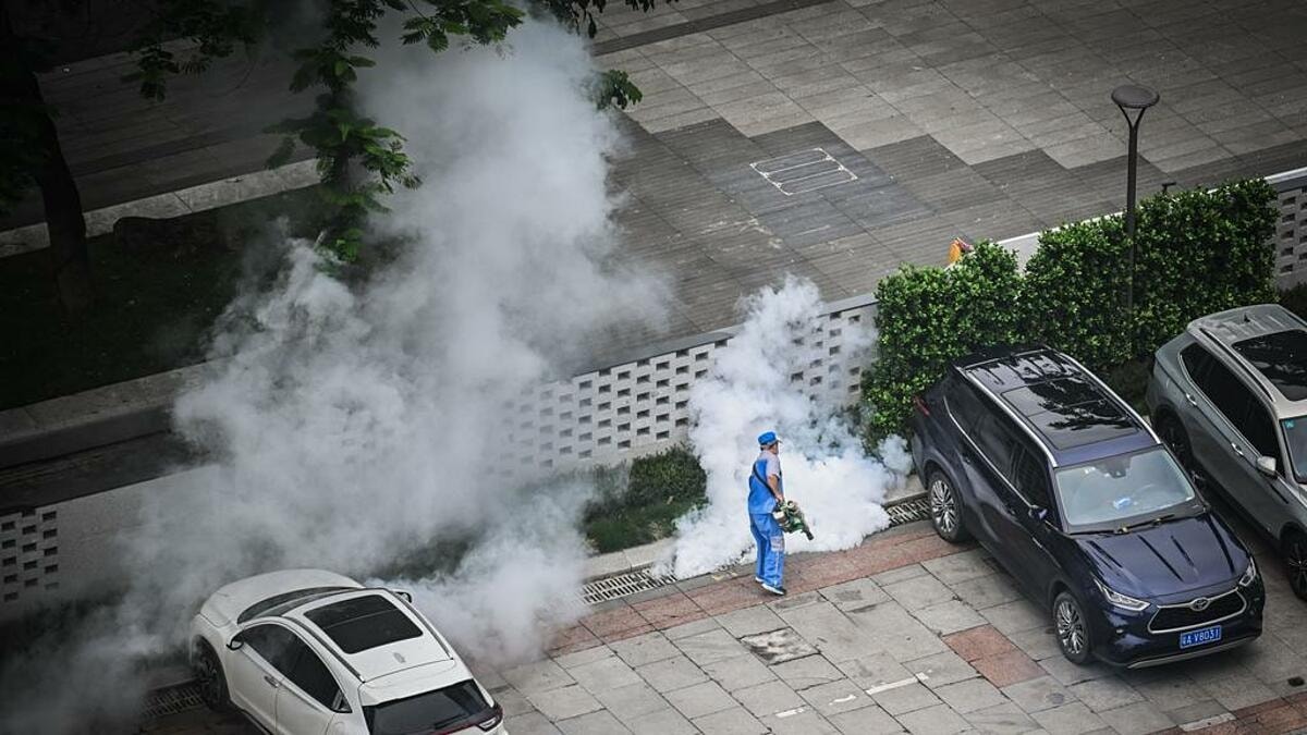 bộ y tế phát cảnh báo khẩn sau khi bệnh chikungunya bùng phát mạnh ở trung quốc hình ảnh 1 bo y te phat canh bao khan sau khi benh chikungunya bung phat manh o trung quoc hinh anh 1