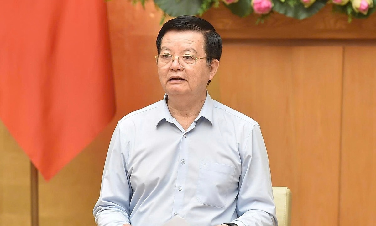Phó Thủ tướng Mai Văn Chính. (Ảnh: VGP)