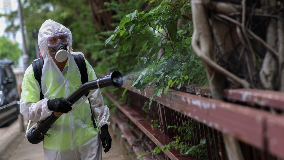 dịch sốt chikungunya lan rộng, trung quốc nâng mức cảnh báo hình ảnh 1 dich sot chikungunya lan rong, trung quoc nang muc canh bao hinh anh 1