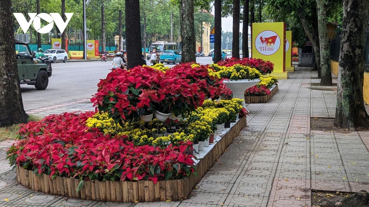 khong khi mung quoc khanh 2 9 lan toa khap pho phuong ha noi hinh anh 1
