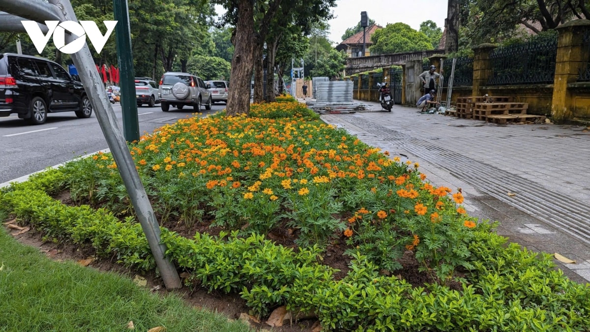 khong khi mung quoc khanh 2 9 lan toa khap pho phuong ha noi hinh anh 3