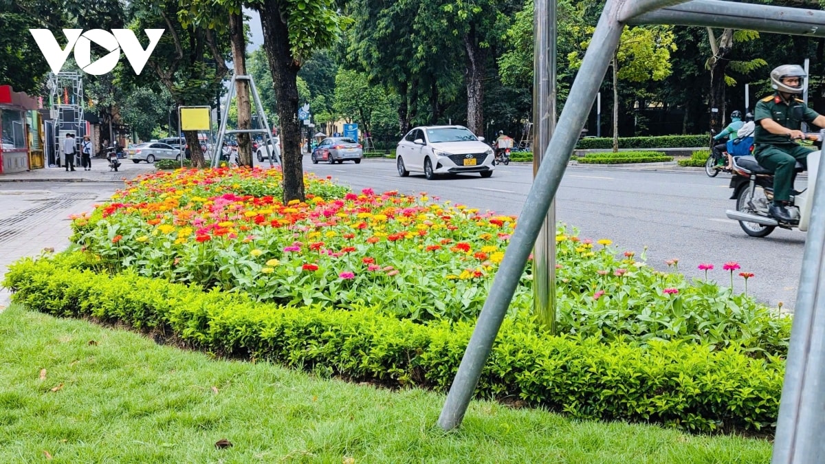 khong khi mung quoc khanh 2 9 lan toa khap pho phuong ha noi hinh anh 4