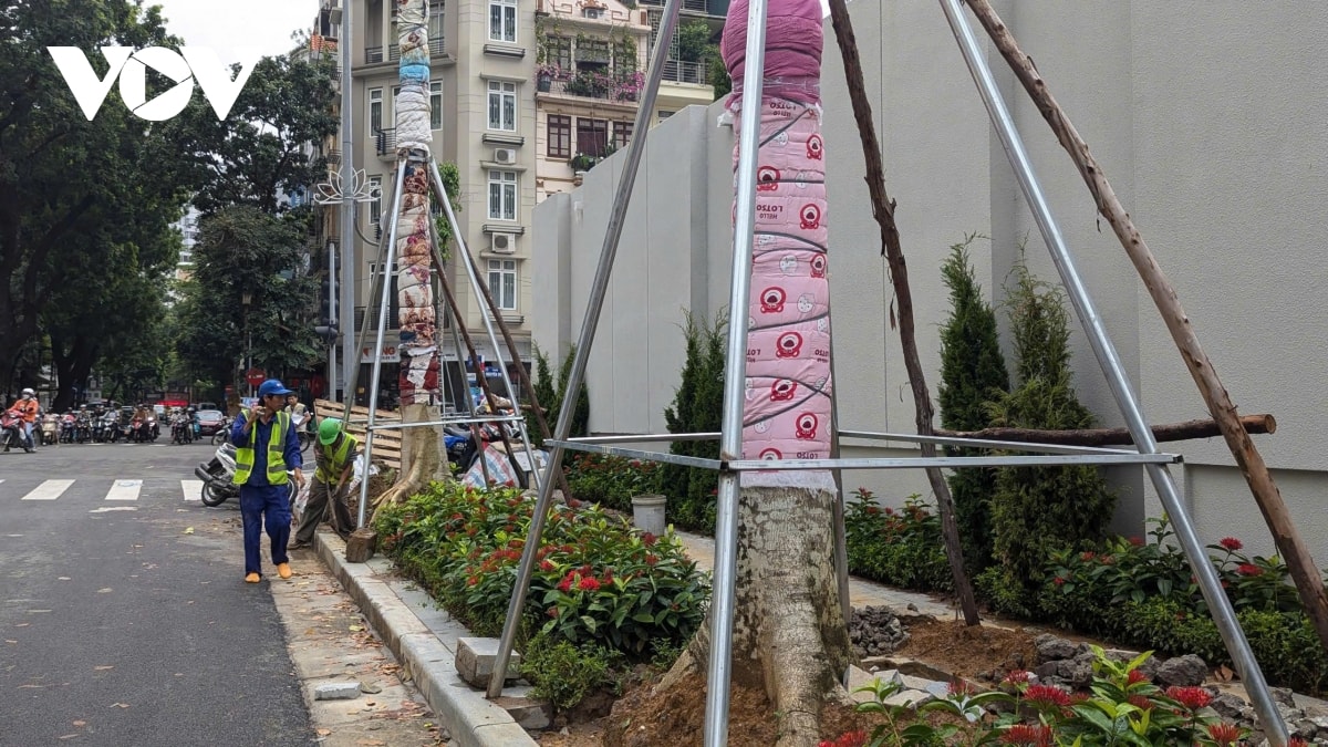 khong khi mung quoc khanh 2 9 lan toa khap pho phuong ha noi hinh anh 5