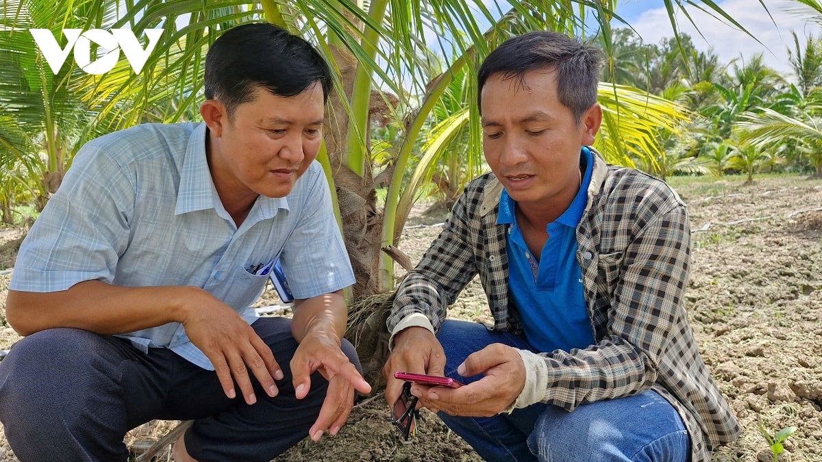 nong dan khmer chuyen doi so dua nong nghiep len tam cao moi hinh anh 1