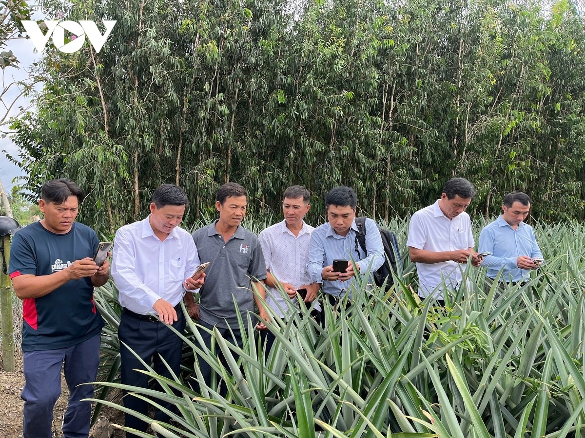 nong dan khmer chuyen doi so dua nong nghiep len tam cao moi hinh anh 4