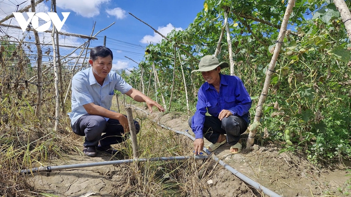 nong dan khmer chuyen doi so dua nong nghiep len tam cao moi hinh anh 2