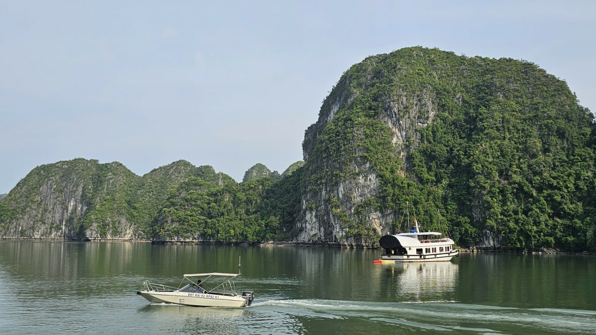 hai phong cam bien de phong, tranh ap thap nhiet doi hinh anh 1