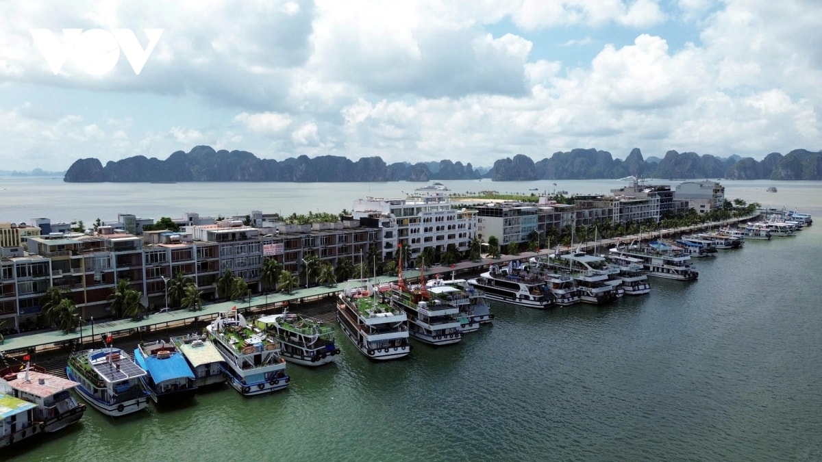 phong ap thap nhiet doi, quang ninh cam bien tu 13h hom nay 18 8 hinh anh 1