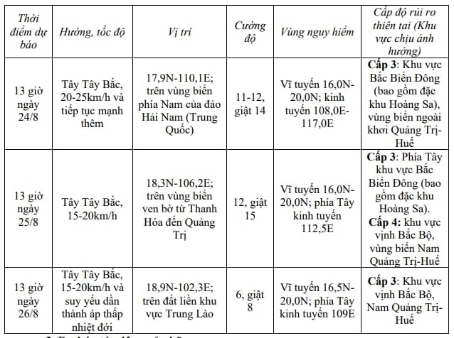 bao so 5 cach hoang sa 300km, giat cap 11 hinh anh 2