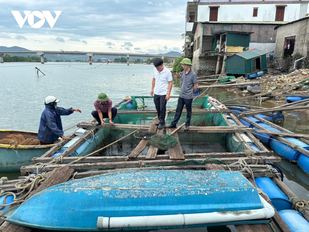những thiệt hại ban đầu do bão số 5 gây ra tại quảng trị hình ảnh 3 nhung thiet hai ban dau do bao so 5 gay ra tai quang tri hinh anh 3