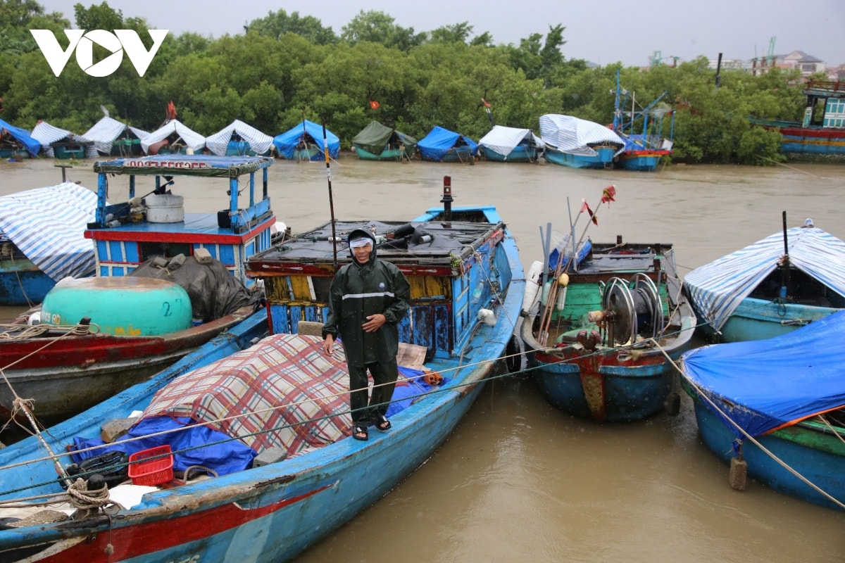 những thiệt hại ban đầu do bão số 5 gây ra tại quảng trị hình ảnh 6 nhung thiet hai ban dau do bao so 5 gay ra tai quang tri hinh anh 6