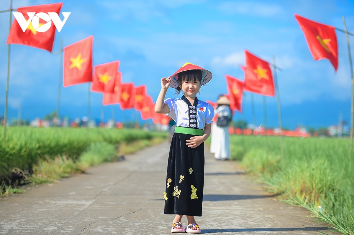 ruc ro con duong co to quoc giua canh dong muong thanh chao mung quoc khanh 2 9 hinh anh 8