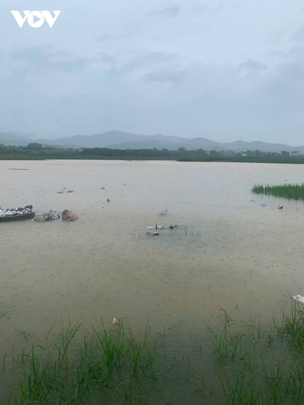 canh bao lu tren song ngoi thia va song thao tai dia ban lao cai hinh anh 1