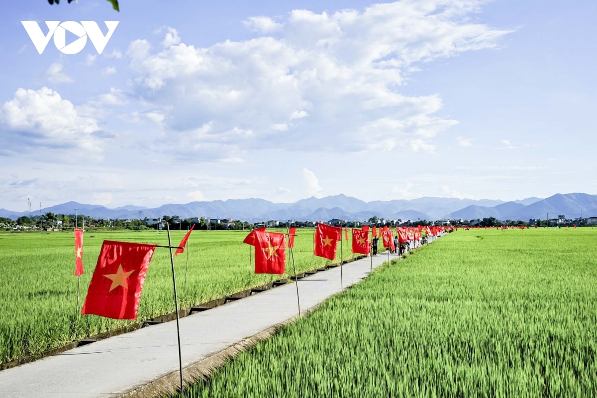 ruc ro con duong co to quoc giua canh dong muong thanh chao mung quoc khanh 2 9 hinh anh 3