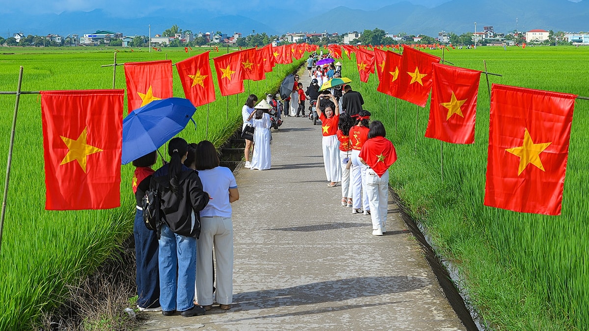 ruc ro con duong co to quoc giua canh dong muong thanh chao mung quoc khanh 2 9 hinh anh 6