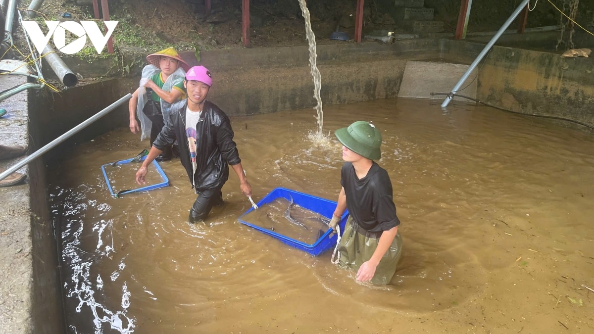 tập trung khắc phục hậu quả mưa lũ tại ngũ chỉ sơn, sa pa hình ảnh 1 tap trung khac phuc hau qua mua lu tai ngu chi son, sa pa hinh anh 1