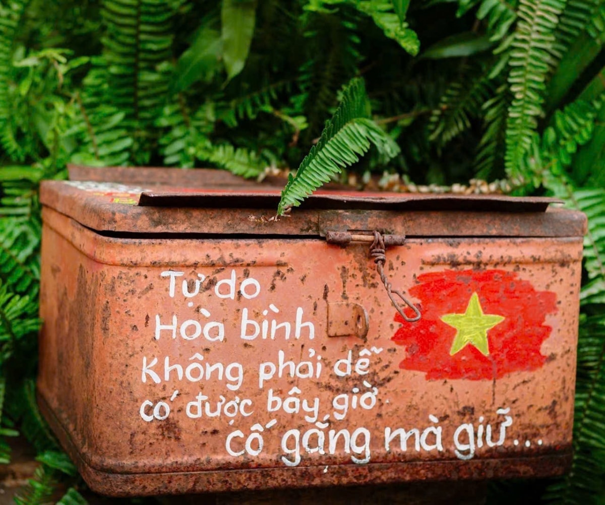 tha thiet khu vuon yeu to quoc cua co giao my thuat o Dak lak hinh anh 5