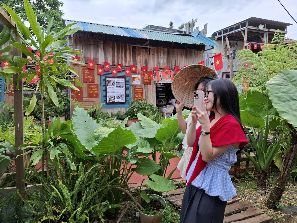 tha thiet khu vuon yeu to quoc cua co giao my thuat o Dak lak hinh anh 11