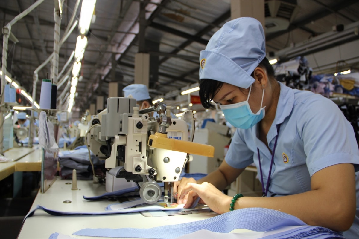 Đề xuất các trường hợp chấm dứt hưởng trợ cấp thất nghiệp hình ảnh 1 De xuat cac truong hop cham dut huong tro cap that nghiep hinh anh 1