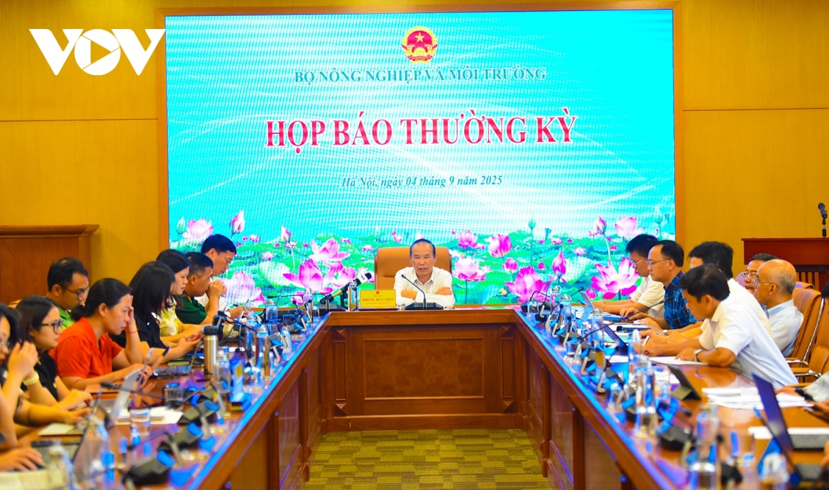bão số 5 gây thiệt hại khoảng 2.900 tỷ đồng hình ảnh 2 bao so 5 gay thiet hai khoang 2.900 ty dong hinh anh 2
