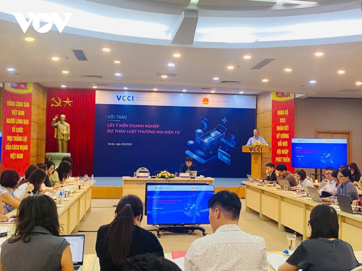 hoan thien khung phap ly thuong mai dien tu tranh bao ho nguoc, tao dong luc cho kinh te hinh anh 3