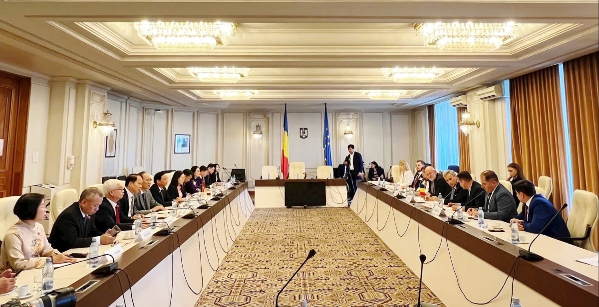pho chu tich quoc hoi nguyen khac Dinh hoi kien chu tich thuong vien romania hinh anh 3