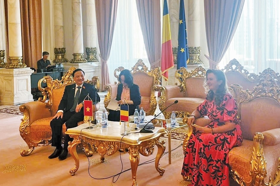 pho chu tich quoc hoi nguyen khac Dinh hoi kien chu tich thuong vien romania hinh anh 2