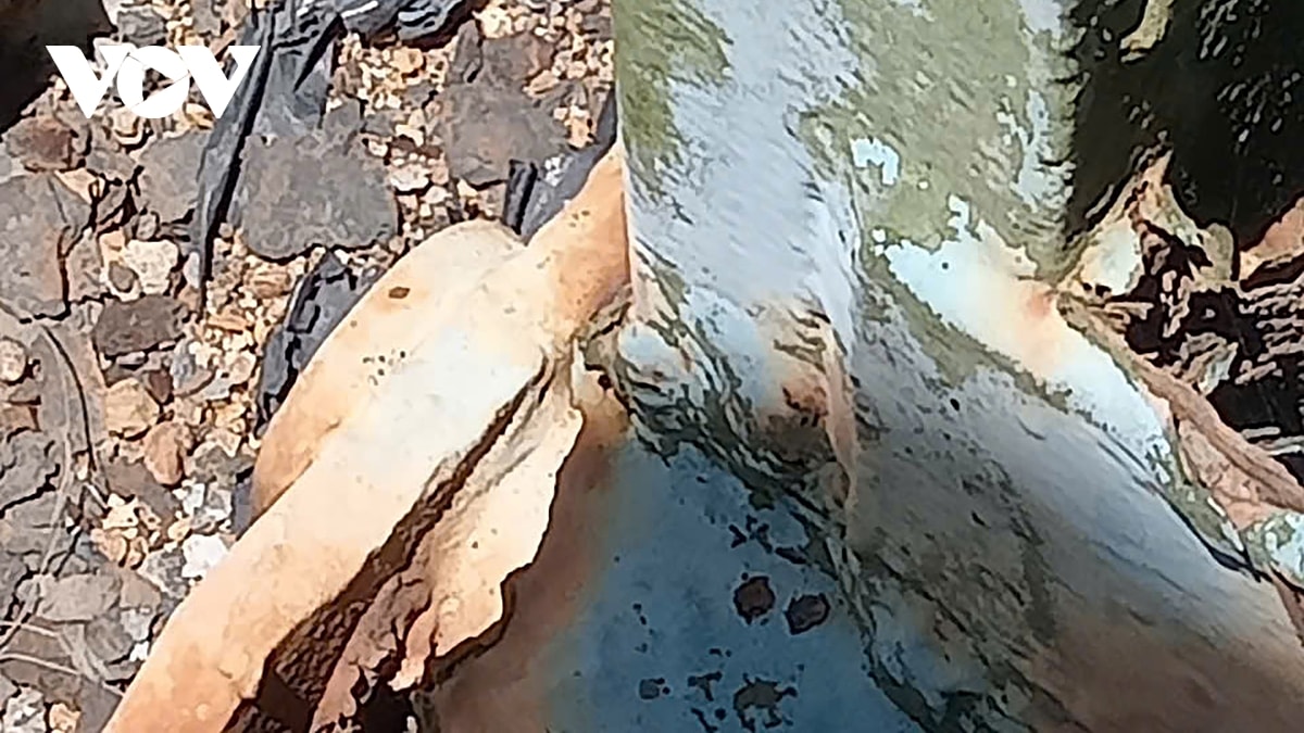 ha giai trung tu di tich lich su cau hien luong, tinh quang tri hinh anh 9