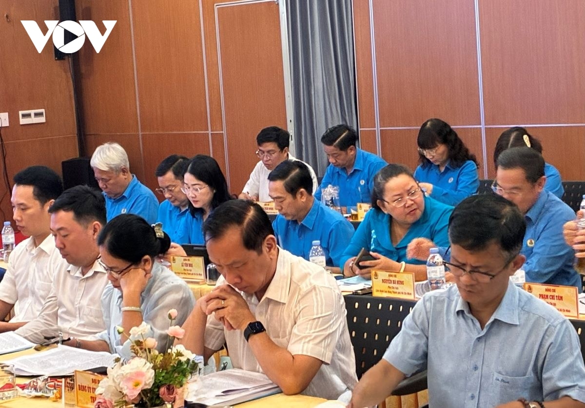 tp.hcm sau hop nhat co 2,5 trieu doan vien, thach thuc lon ve to chuc cong doan hinh anh 3