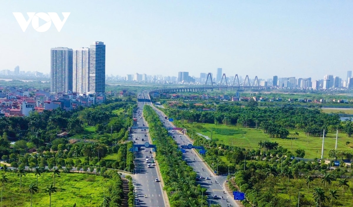 phan hoi xung quanh canh bao mat an toan khi trong cay o dai phan cach cao toc hinh anh 3