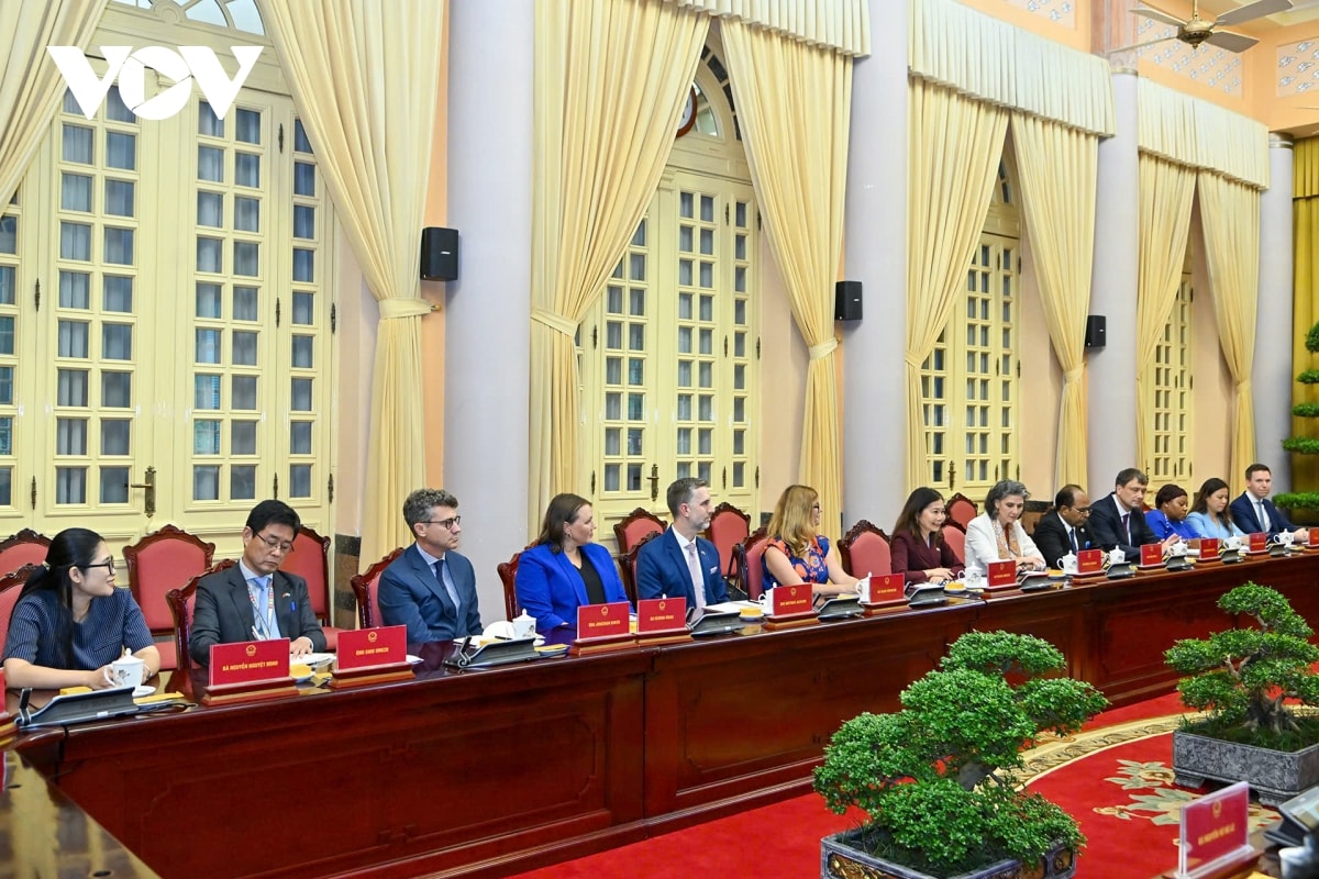 viet nam chu dong dong gop tich cuc vao cac hoat dong cua lien hop quoc hinh anh 5