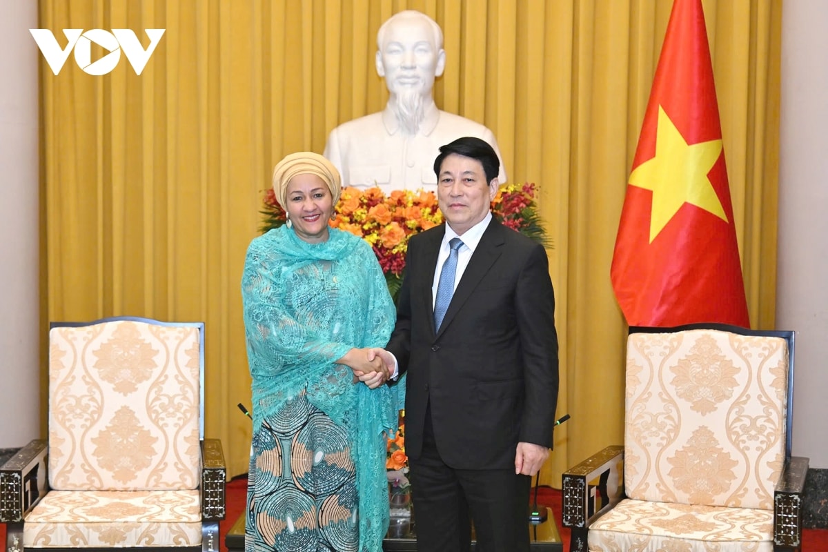 viet nam chu dong dong gop tich cuc vao cac hoat dong cua lien hop quoc hinh anh 2