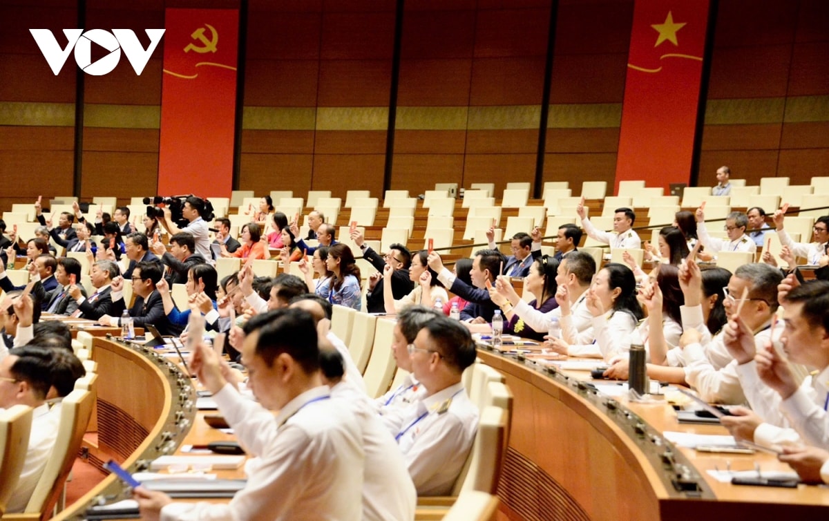 Dai hoi Dang bo quoc hoi Dinh hinh hoat dong mang tinh chien luoc, dan dat hinh anh 4
