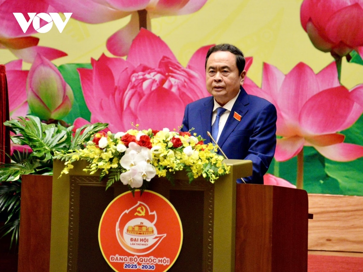 Dai hoi Dang bo quoc hoi Dinh hinh hoat dong mang tinh chien luoc, dan dat hinh anh 3