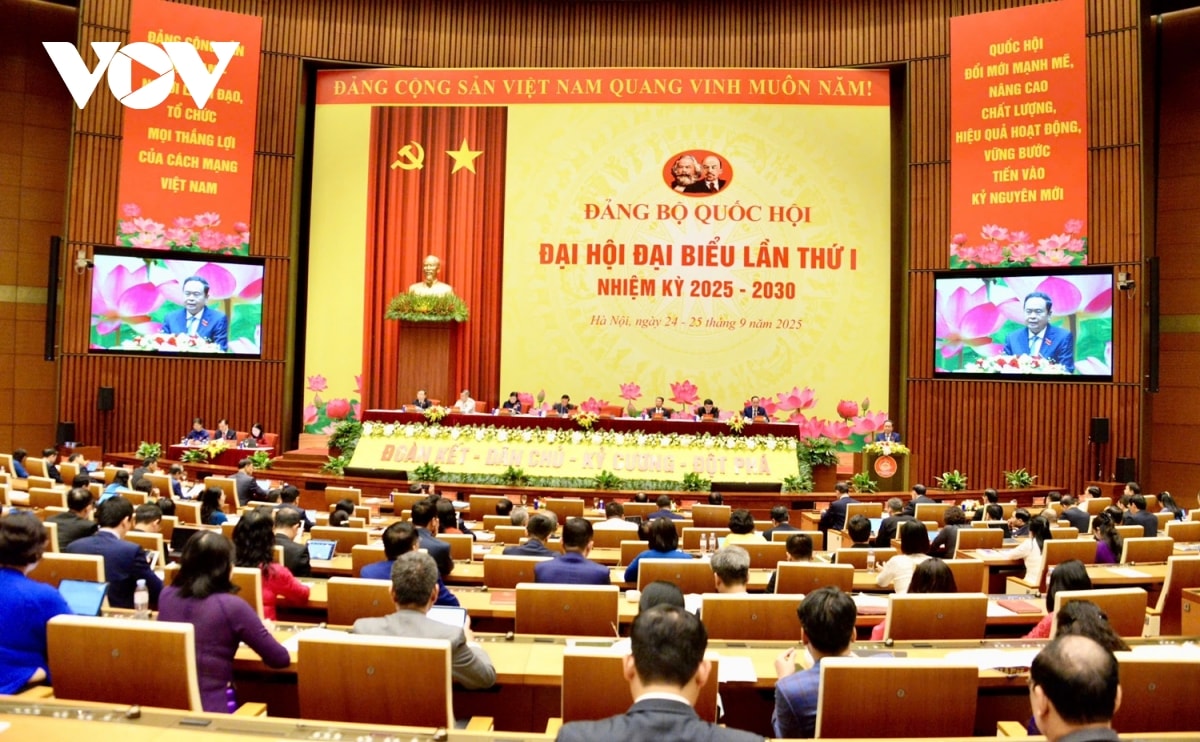 Dai hoi Dang bo quoc hoi Dinh hinh hoat dong mang tinh chien luoc, dan dat hinh anh 2