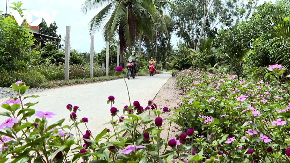 Dong bao khmer vinh long vuon len tu chuong trinh muc tieu quoc gia hinh anh 2