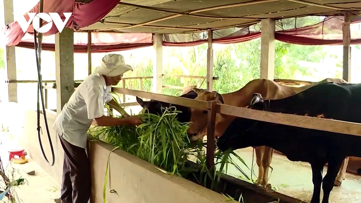 Dong bao khmer vinh long vuon len tu chuong trinh muc tieu quoc gia hinh anh 3