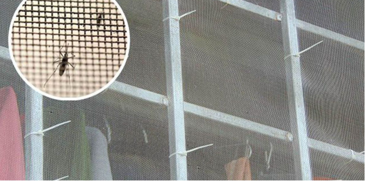 Bạn có thể lắp lưới chống côn trùng để tránh kiến ba khoang.