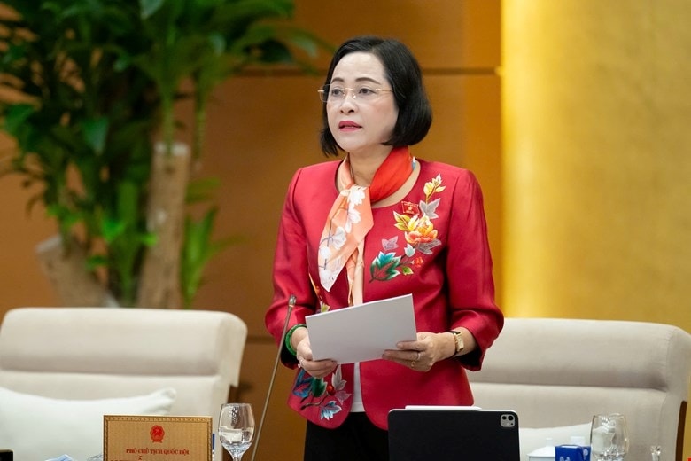 xem xet va thong qua mot so nghi quyet ve cong tac ung cu, bau cu hinh anh 2
