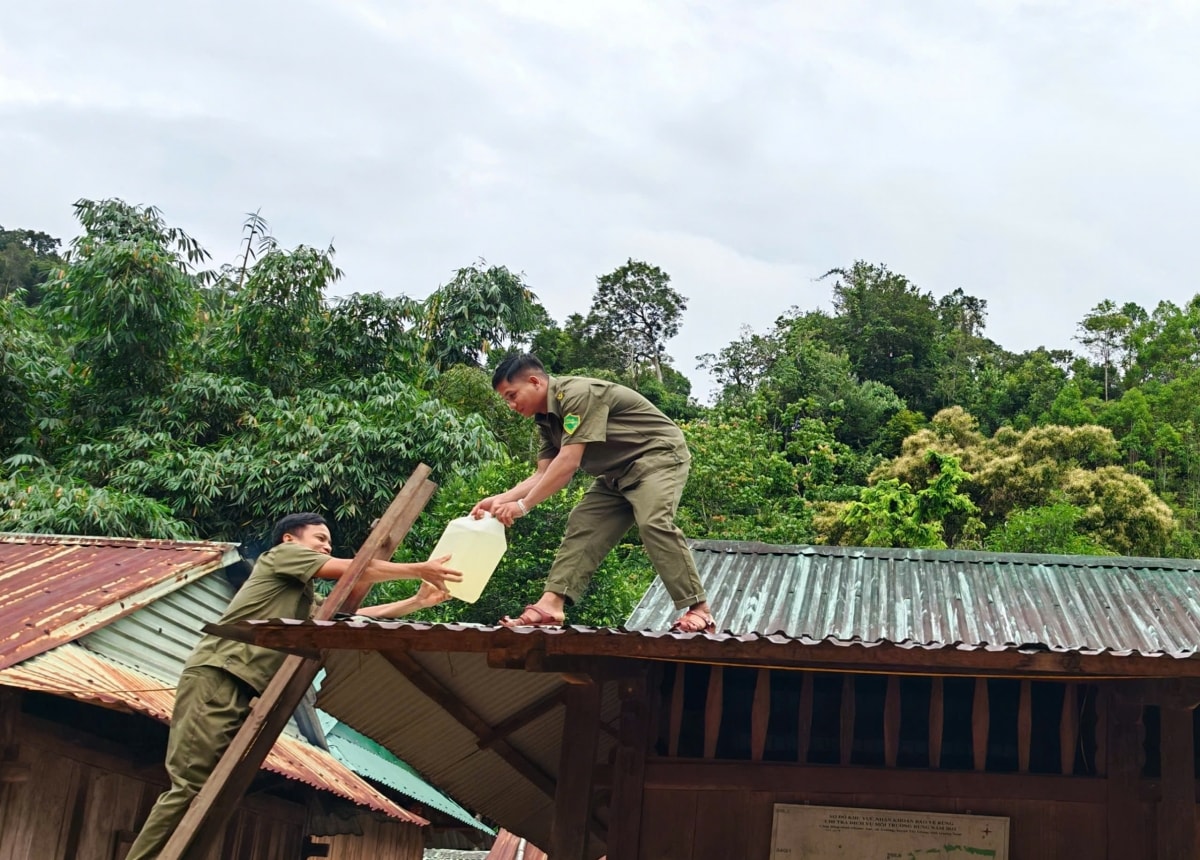 thanh uy Da nang yeu cau khong chu quan voi bao so 10 hinh anh 2