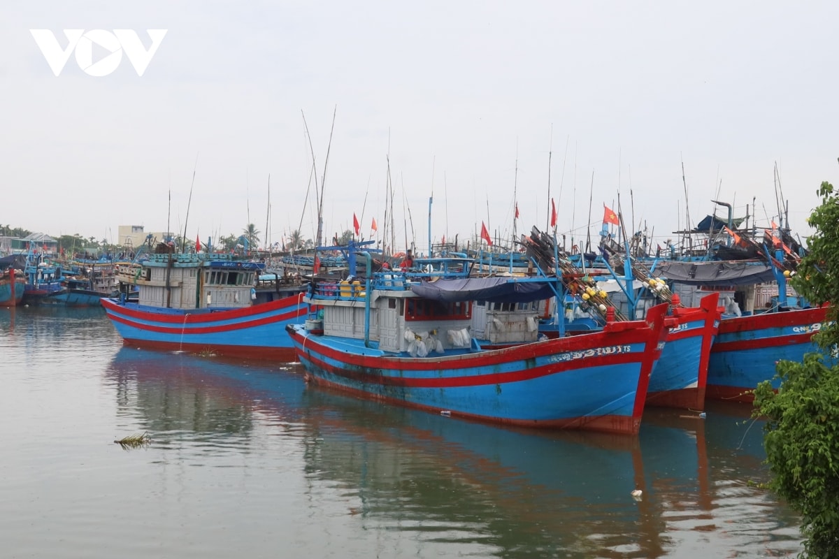 quang ngai cam tau thuyen ra bien hoat dong tu 17 gio hom nay hinh anh 3