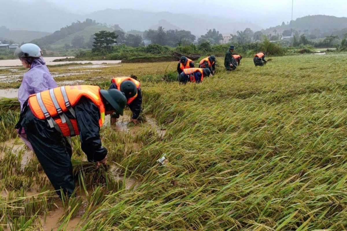 bao so 10 bualoi quet qua quang tri, nhieu nha toc mai, sat lo nghiem trong hinh anh 5