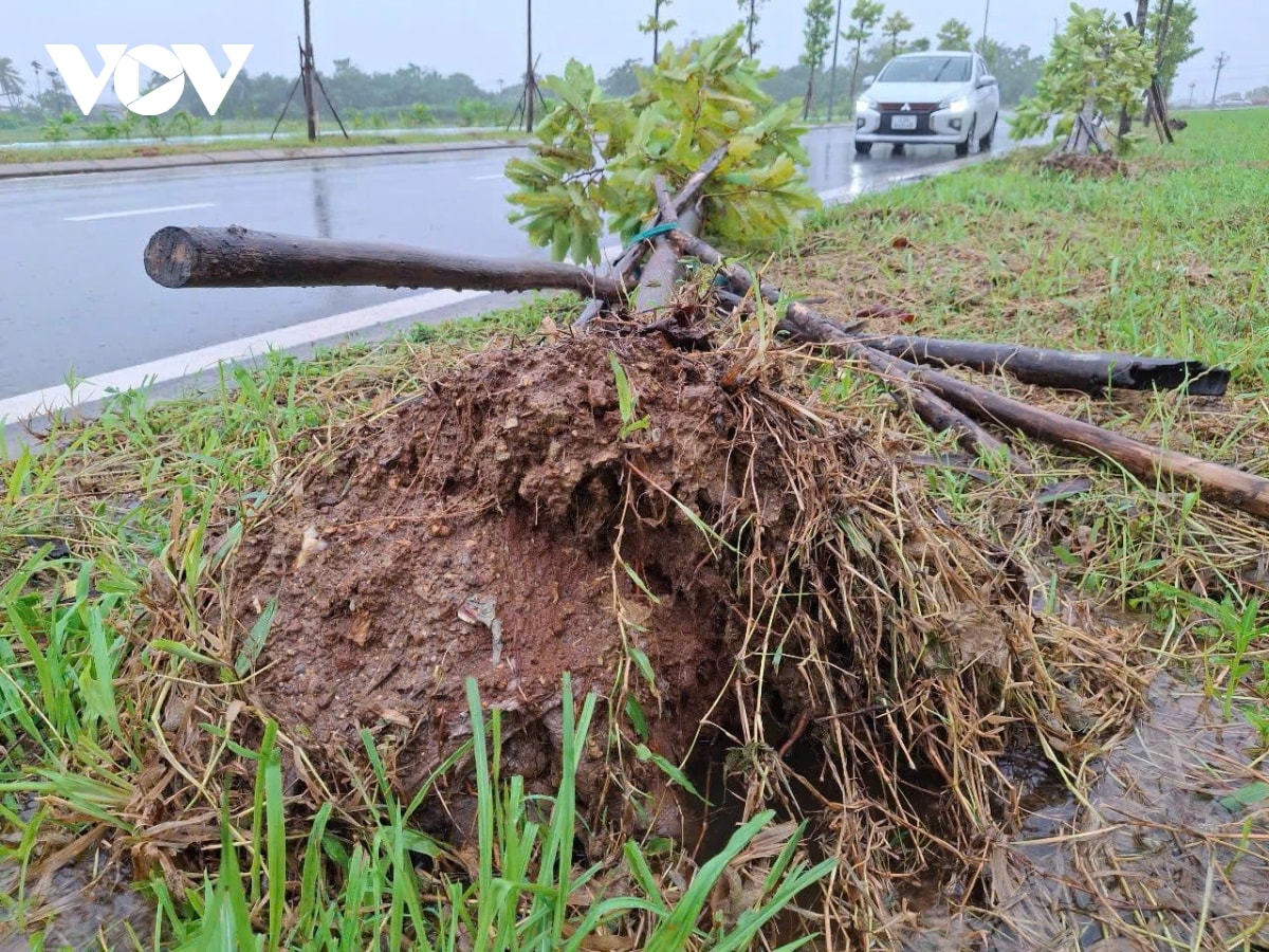 bao so 10 bualoi quet qua quang tri, nhieu nha toc mai, sat lo nghiem trong hinh anh 57