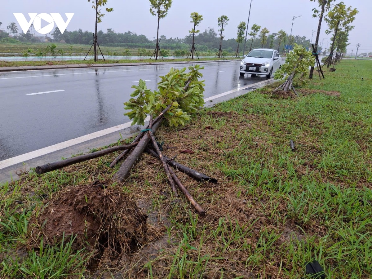 trieu cuong pha hong duong di bo doc bai tam thuan an, thanh pho hue hinh anh 6