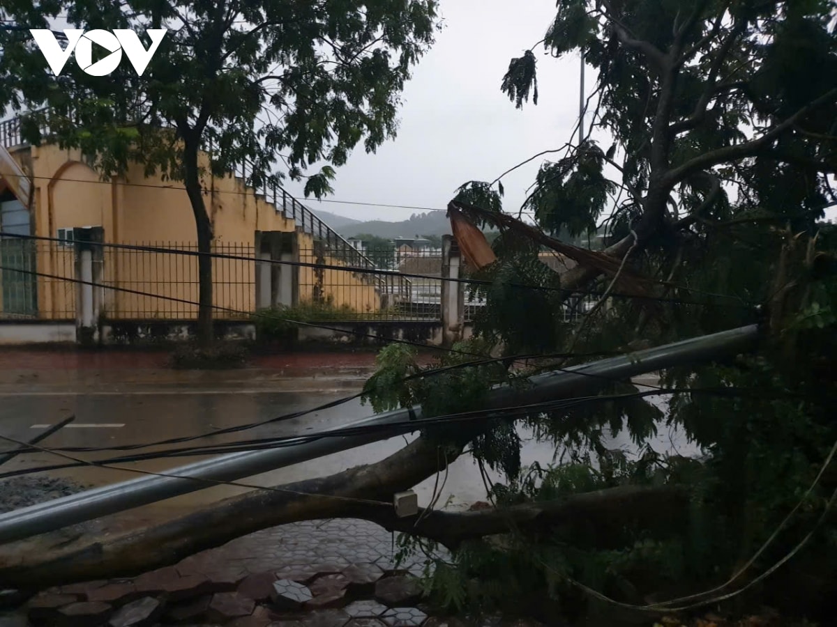 lao cai mua lon lam 2 nguoi bi thuong, thiet hai hang tram ngoi nha hinh anh 2