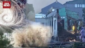 Ninh Bình: 9 người chết, 240 ngôi nhà đổ sập sau cơn lốc từ bão Bualoi