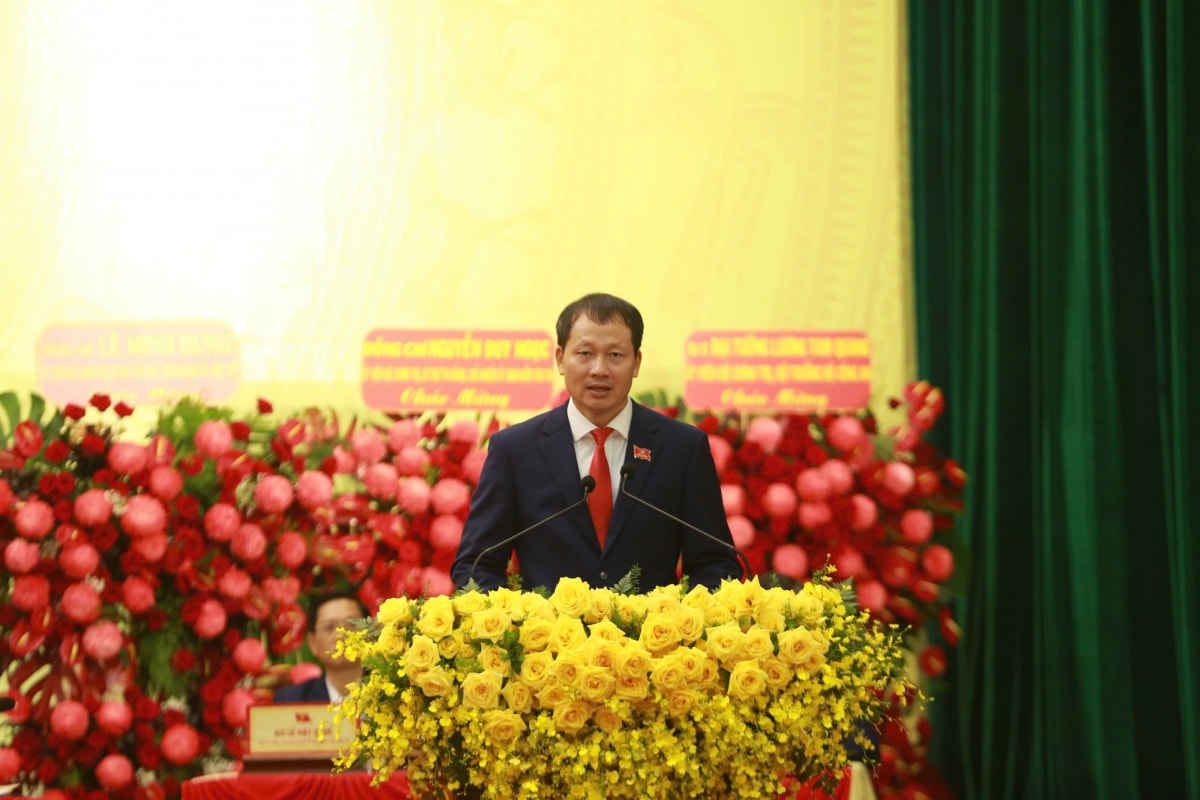 Ong vu hong van tiep tuc giu chuc bi thu tinh uy Dong nai hinh anh 2