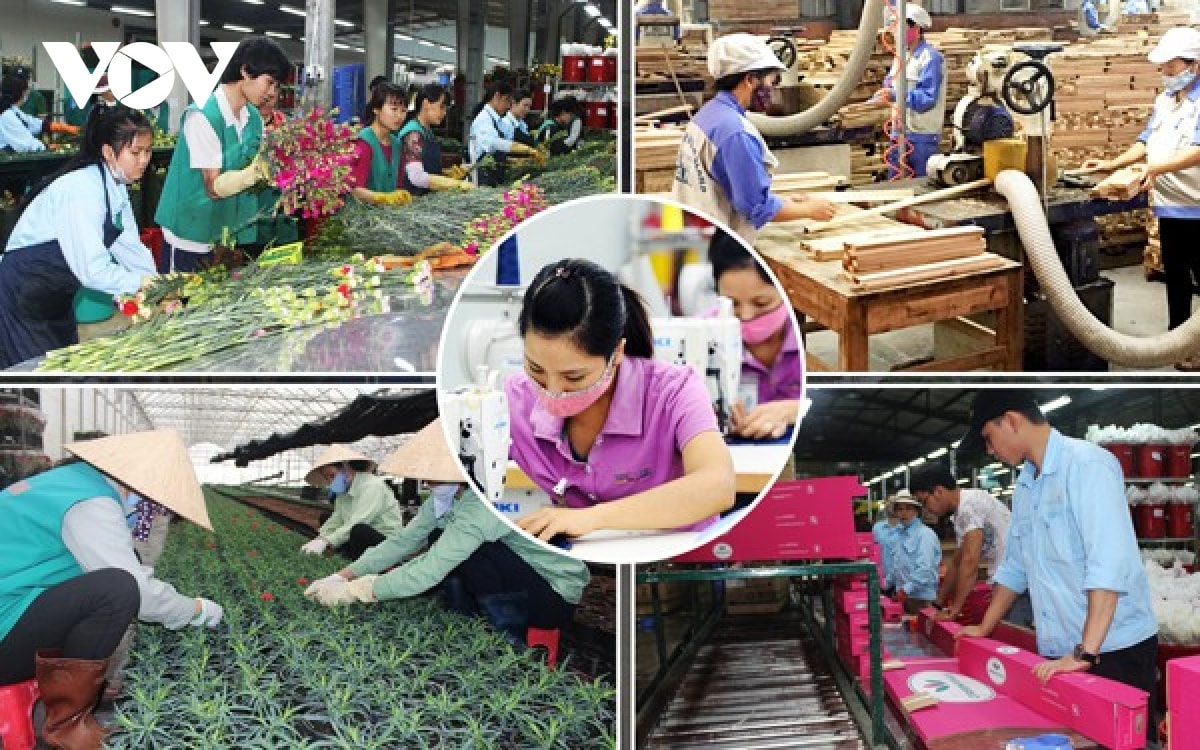 adb du bao tang truong kinh te viet nam co the dat 6,7 trong nam 2025 hinh anh 1